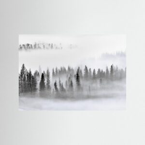 Foggy Forest by Mei Xu