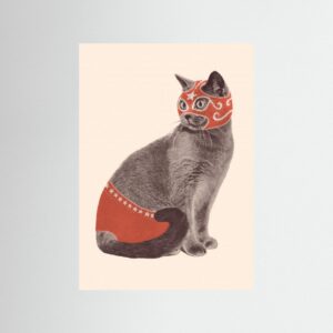 Chat Catcheur by Florent Bodart