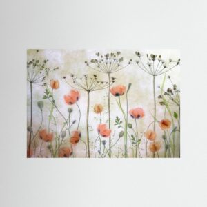 Poppy Meadow by Mandy Disher