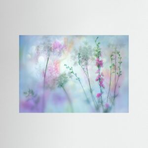 pastel by Hilda Van Der Lee