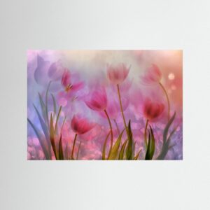 Tulips time! by Hilda Van Der Lee