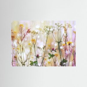 fresness by Hilda Van Der Lee