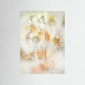 fading summer by Hilda Van Der Lee