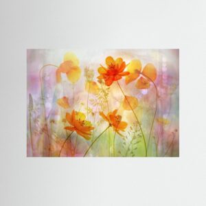 fragile orange by Hilda Van Der Lee