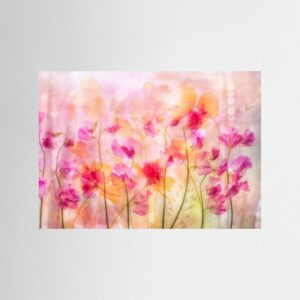 lovely lathyrus by Hilda Van Der Lee