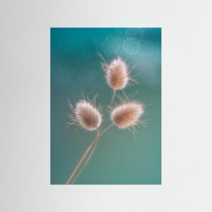 Soft Bunny Tails by Lydia Jacobs