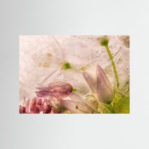 Frozen Floral Beauty by Giuseppe Satriani