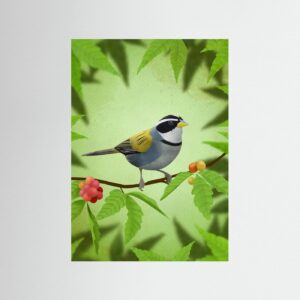 Bird on Berry Branch by Franco Caballero
